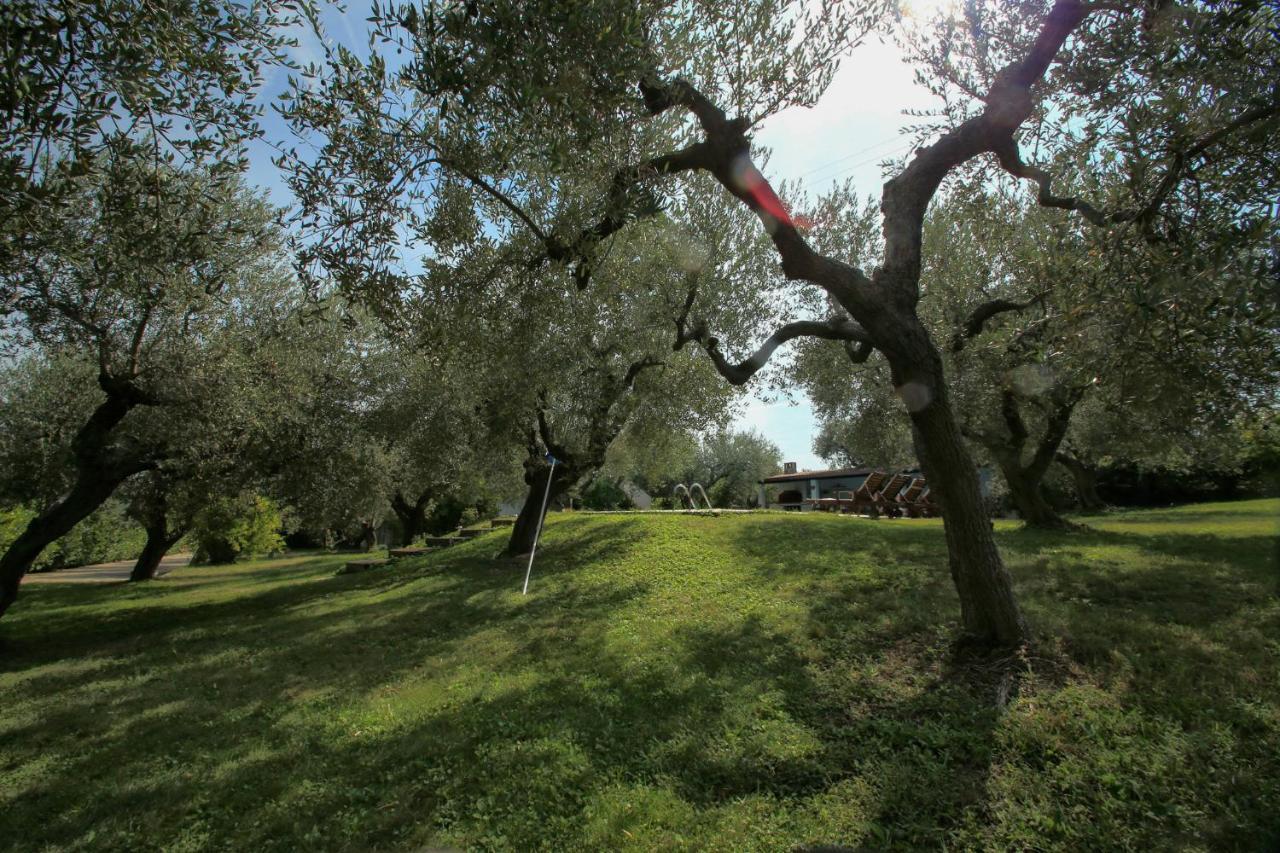 Torrevecchia Teatina B&B Arli מראה חיצוני תמונה