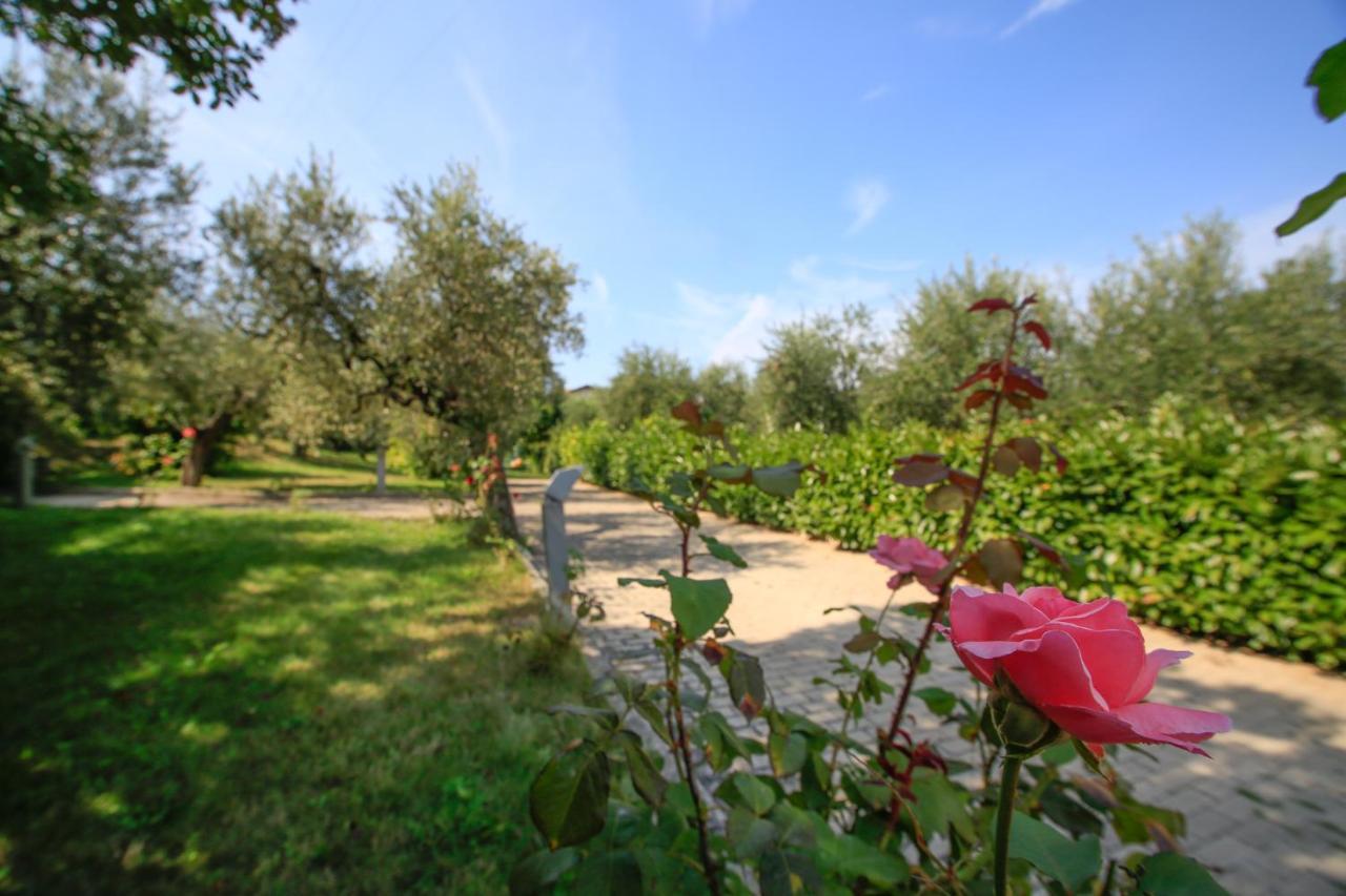 Torrevecchia Teatina B&B Arli מראה חיצוני תמונה