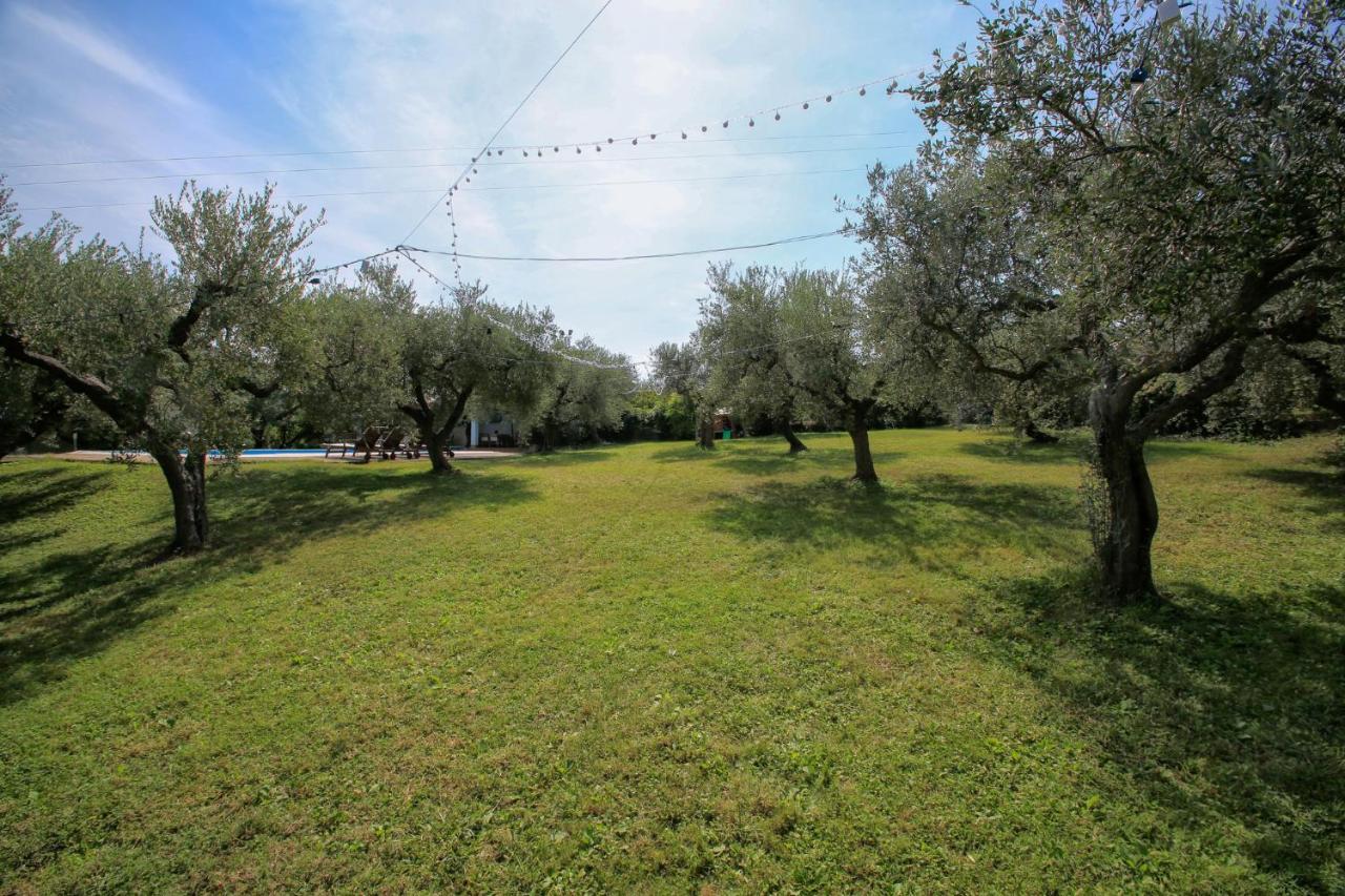 Torrevecchia Teatina B&B Arli מראה חיצוני תמונה