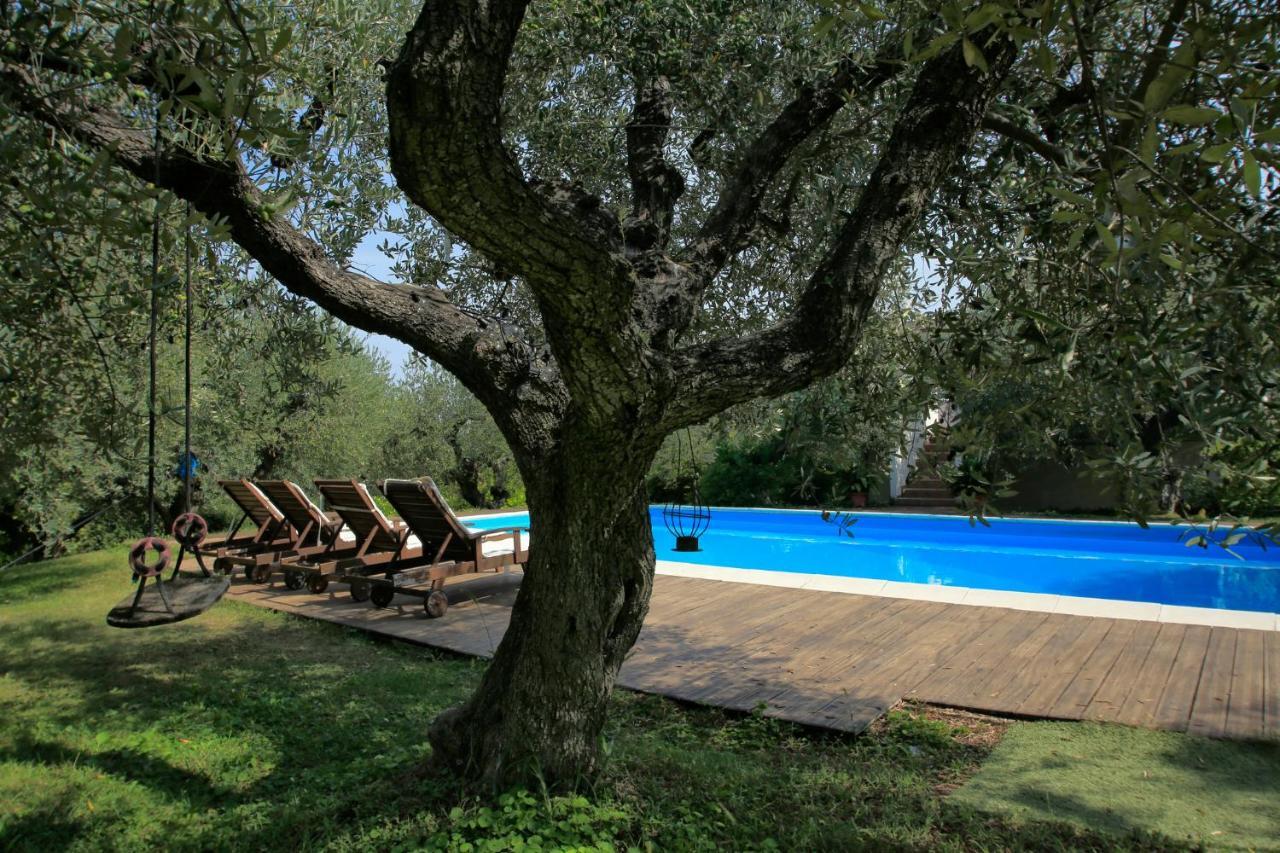 Torrevecchia Teatina B&B Arli מראה חיצוני תמונה